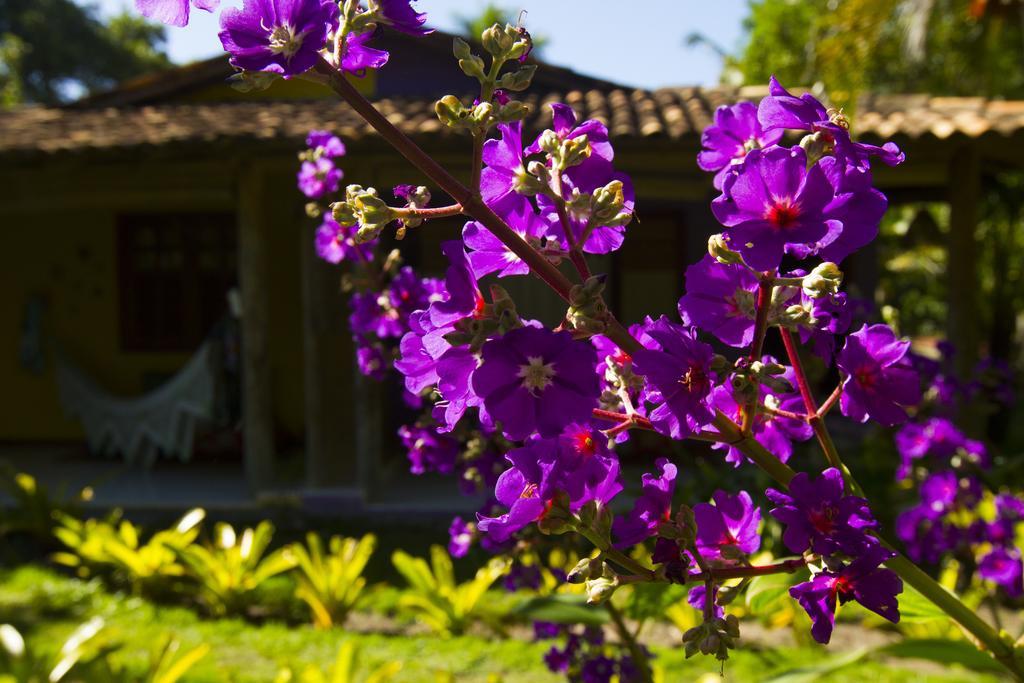 Pousada Casinhas Da Bahia การาอิวา ภายนอก รูปภาพ